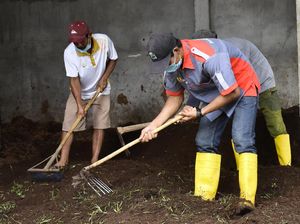 Kisah Pengusaha Pupuk Banjir Rezeki Sejak Tinggalkan Tambang Ilegal