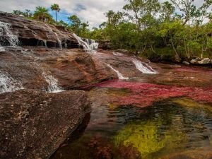 Pandemi Corona Ternyata Beri Efek Positif bagi Sungai Lima Warna