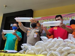 Pengiriman Ribuan Baby Lobster ke Jabar Digagalkan, Dua Kurir Ditangkap