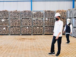 Jokowi Kepincut Harta Karun Ini, Bisa Jadi Motor Ekonomi