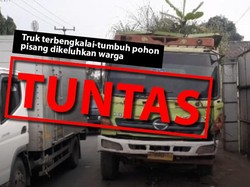 Before-After Evakuasi Truk Terbengkalai-Tumbuh Pohon Pisang