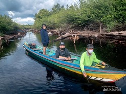 Sebahagia Ini Bisa Dapat Foto Orangutan