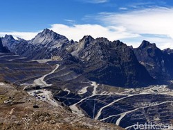 Bos Holding Tambang Jawab DPR soal Setop Ekspor: Bauksit Siap, Tembaga Nggak