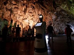 5 Karier Bidang Teknologi yang Paling Banyak Dicari di Masa Depan