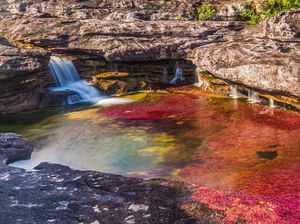 Foto: Warna-warni Sungai Pelangi di Kolumbia, Cantik! Foto: Warna-warni Sungai Pelangi di Kolumbia, Cantik!
