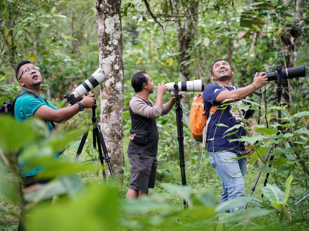 Menyalurkan Hobi Fotografi di Desa Ramah Burung Kulon Progo