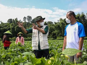 Teten Dorong Petani Masuk Koperasi: agar Ada Kepastian Harga dan Pasar