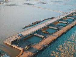 Bangun Pelabuhan Patimban Fase II, RI Dapat Pinjaman dari Jepang Rp 10 T