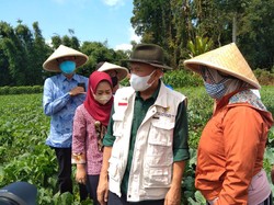 Teten Ungkap 500 Ribu-an UMKM Gulung Tikar