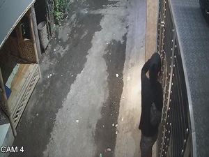 9 Rumah di Probolinggo Dimasuki Maling dalam Semalam, Motor Warga Raib