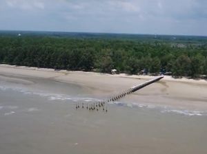 Melihat Pesona Pulau Rupat di Riau Lewat Rumah Digital Indonesia Melihat Pesona Pulau Rupat di Riau Lewat Rumah Digital Indonesia