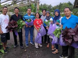 Resign dari Bank BUMN, Dedy Kini Jadi Petani Organik Sukses