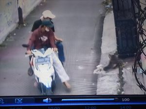 Cerita Pemilik Kucing Persia Jebak Pelaku Pencurian Lewat COD