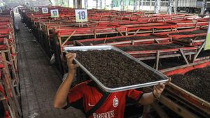 Wow! Omzet Ternak Cacing Tanah Capai Rp 60 Juta/Bulan