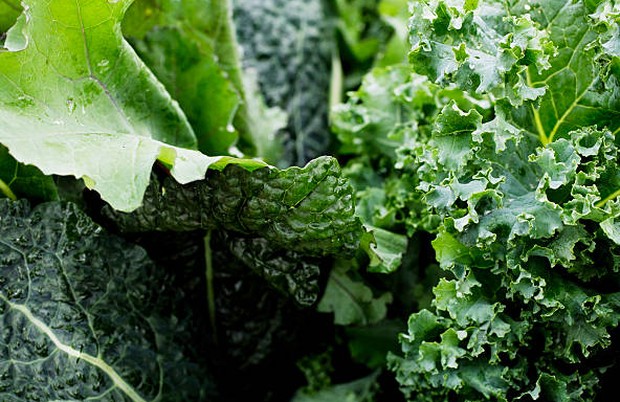 Kale / foto: freeimages.com/Rottstra