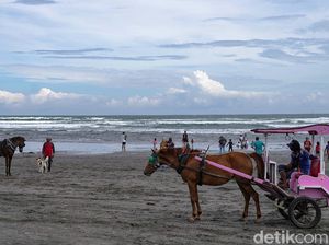 Objek Wisata Bantul Masih Tutup, Pemkab Bakal Perketat Penjagaan Objek Wisata Bantul Masih Tutup, Pemkab Bakal Perketat Penjagaan