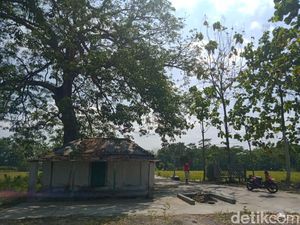 Makam Sunan Cempo Ini Ada di Tengah Sawah Klaten, Siapa Dia?