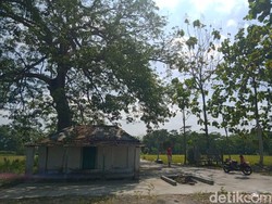 Makam Sunan Cempo Ini Ada di Tengah Sawah Klaten, Siapa Dia?