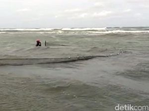 Kisah Nelayan Sukabumi, Menerjang Ombak Demi Berburu Udang Rebon