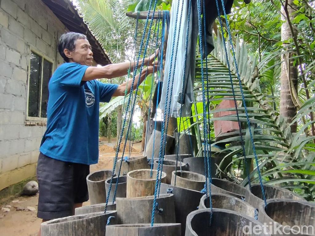 Kisah Tunanetra Penderes Nira di Kulon Progo, Bisa Panjat 20 Pohon Sehari