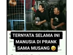 Viral di Twitter: Suara Mbak Kunti Apa Musang?