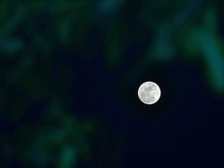 Fakta Blue Moon 30 Agustus 2023 yang Akan Muncul Malam Ini