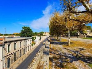 Awas Mata Terkecoh! Lihat Foto Ini dengan Seksama