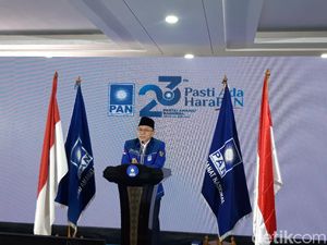 Ketum PAN: Jokowi Lebam Atasi Pandemi, tapi Kita Tak Bisa Bantu Banyak