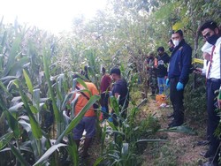 Lansia di NTB Tewas Dibacok Gegara Dianggap Punya Ilmu Santet