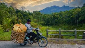 Lihat Lagi Desa Tetebatu Akan jadi Desa Wisata Dunia