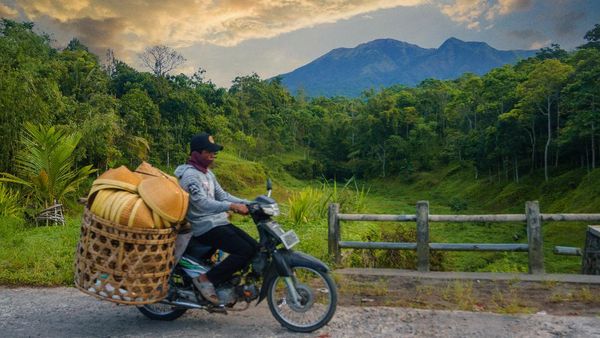 Lihat Lagi Desa Tetebatu Akan jadi Desa Wisata Dunia