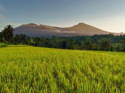 Desa Tetebatu Wakili Indonesia di UNWTO, Pengamat: Angin Segar Wisata NTB