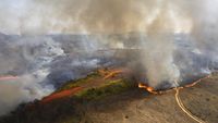 Gegara Balon Udara, Taman di Brasil Terbakar