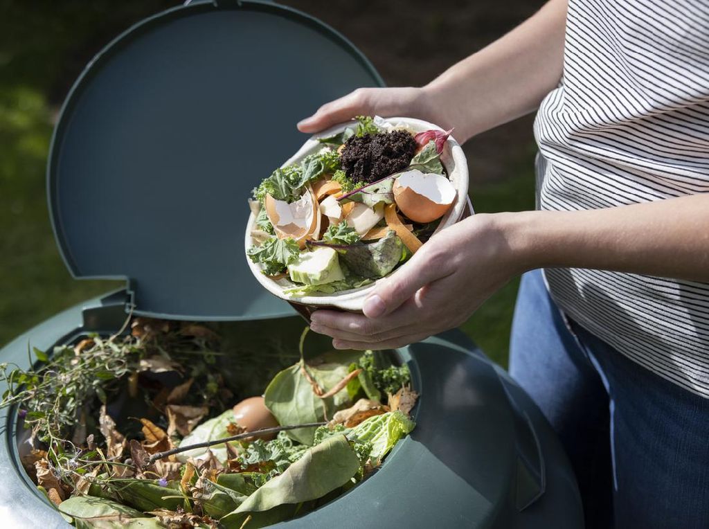 Hemat Hingga Rp 36 Juta, Pasangan Ini Ambil Makanan dari Tempat Sampah
