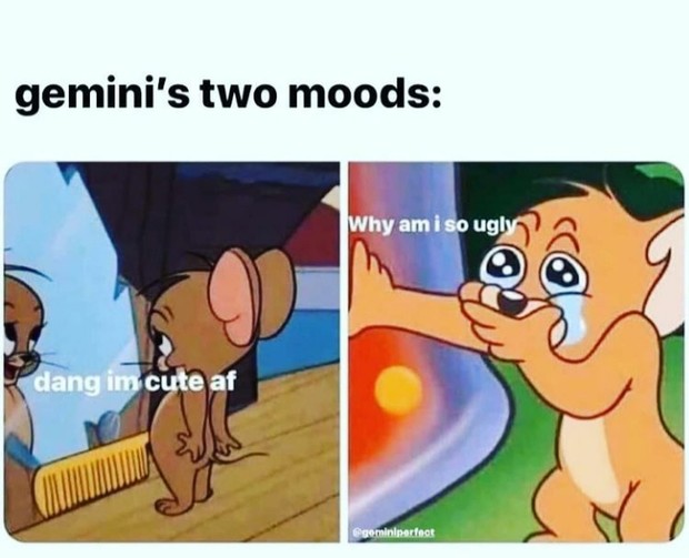 Meme zodiak gemini yang related dan kocak
