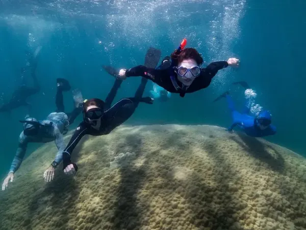 Penampakan Terumbu Karang Raksasa Berusia 400 Tahun di Australia