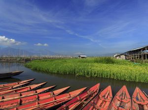 Pembangunan Jaringan Irigasi Rawa Dukung Ketahanan Pangan Indonesia