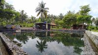Foto: Pemandian View Sawah untuk Liburanmu