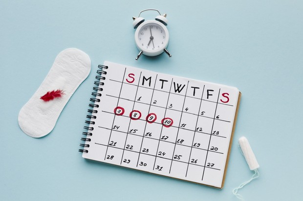 Siklus menstruasi/sumber: freepik.com Mens