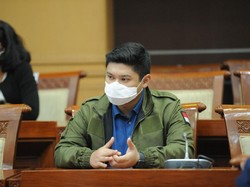 Anggota Komisi I DPR Sindir Mahathir Mohamad Singa Tua Caper