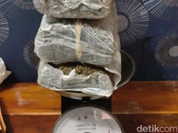 Kedapatan Bawa 4 Kg Ganja, Empat Pria Dibekuk Polres Karawang