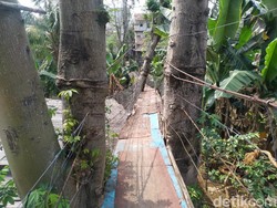Warga Minta Jembatan Gantung Srengseng Sawah Tak Ditutup tapi Diperbaiki
