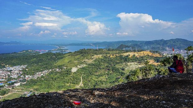 Pemandangan dari venue Paralayang, Bukit Kampung Buton, Kota Jayapura, Papua, Selasa (6/7/2021). Ketua Paralayang Kota Jayapura, Andik Kurniawan mengaku lokasi ini akan dibangun venue Paralayang PON XX Papua yang berada di ketinggian 320 meter di atas permukaan laut dengan pemandangan Teluk Yos Sudarso dan Teluk Youtefa. ANTARA FOTO/Indrayadi TH/pras.