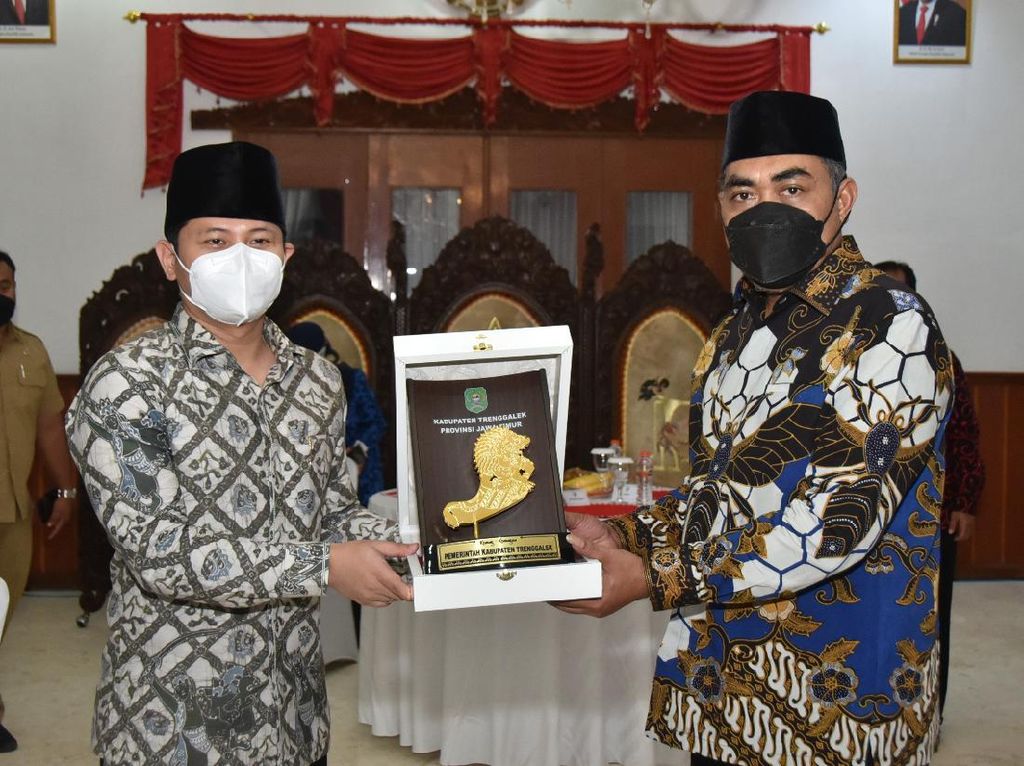 Jazilul Dorong Keterlibatan Berbagai Pihak Kembangkan Budi Daya Porang Jazilul Dorong Keterlibatan Berbagai Pihak Kembangkan Budi Daya Porang