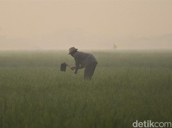 Prakiraan Cuaca Bandung Hari Ini, 24 Agustus 2025: Sejuk dan Basah
