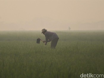 Saat Lahan Pertanian Tergilas Tol dan Bandara