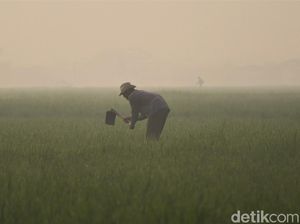 Prakiraan Cuaca Bandung Hari Ini, 24 Agustus 2025: Sejuk dan Basah Prakiraan Cuaca Bandung Hari Ini, 24 Agustus 2025: Sejuk dan Basah