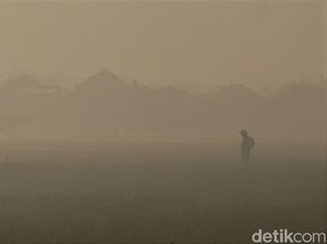 Foto: Area Persawahan di Bandung Diselimuti Kabut Pagi Ini