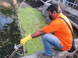 Mayat Bayi Perempuan Ditemukan Mengapung di Sungai Surabaya