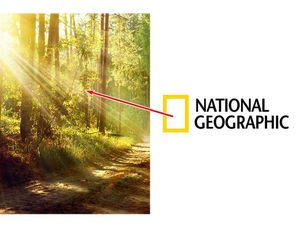 Ilmuwan, Media, dan Literasi Sains